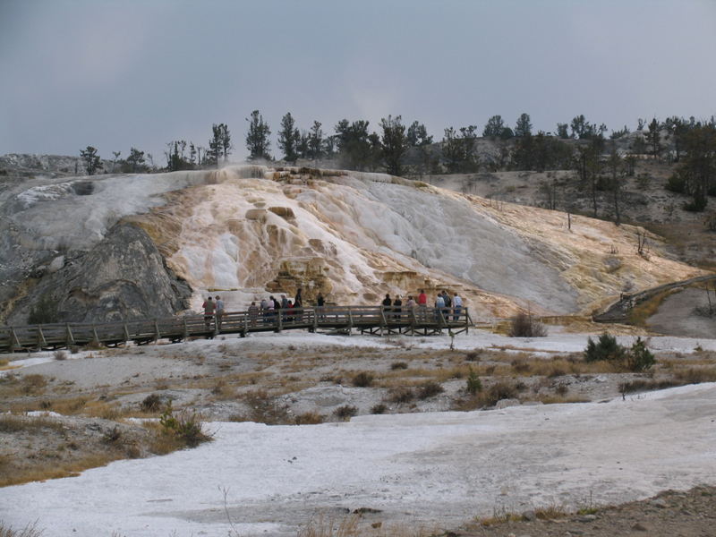Mammoth 4