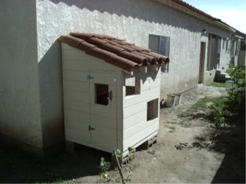 The finished coop