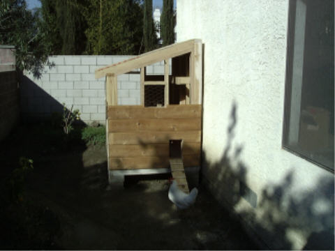 Starting the siding