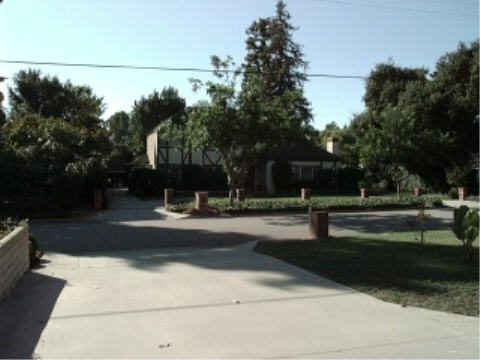Neighbor across street