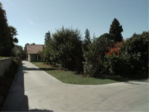 Looking towards Main House down driveway