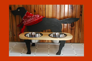 Dog Dish
