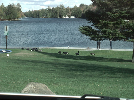 Old Forge 1