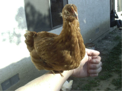 Eunice, sitting on my left arm. 3/9/2002